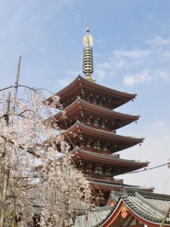 The pagoda and some cherry blossoms.